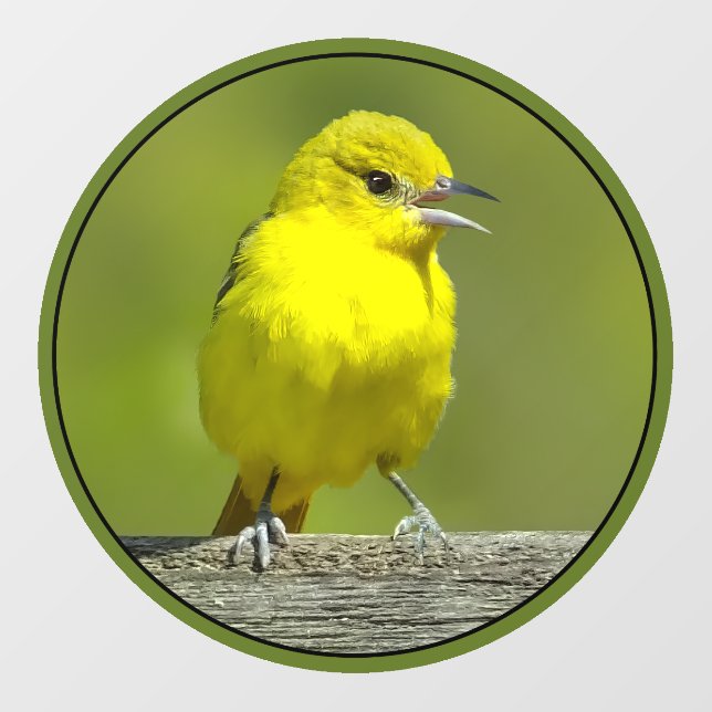 Orchard Oriole - Original Photograph Window Cling (Sheet)