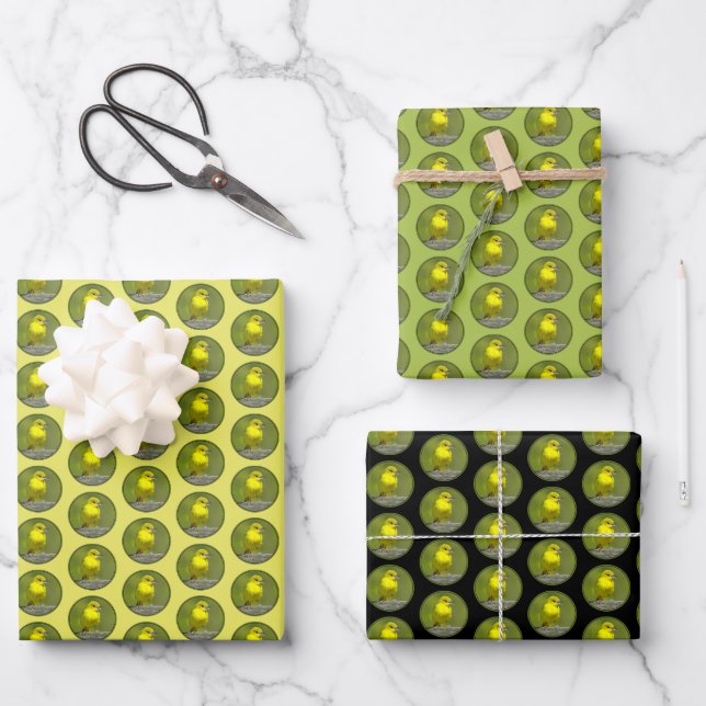 Orchard Oriole - Original Photograph Wrapping Paper Sheet (Front)