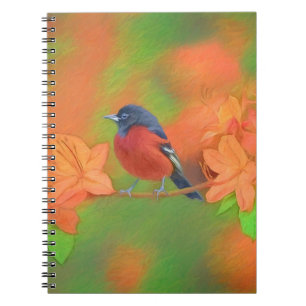 Orchard Oriole Songbird Painting Original Bird Art Notebook