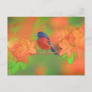 Orchard Oriole Songbird Painting Original Bird Art Postcard