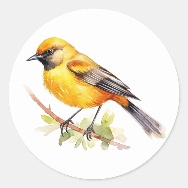 Orchard Oriole Songbird Stickers (Front)