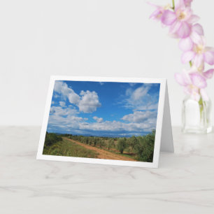 Orchard Path Sky Landscape Card