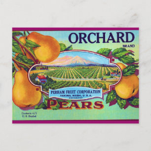 Orchard Pears Postcard