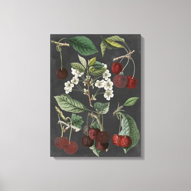 Orchard Varieties I Canvas Print (Front)