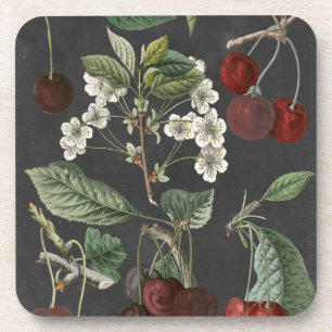 Orchard Varieties I Coaster
