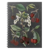 Orchard Varieties I