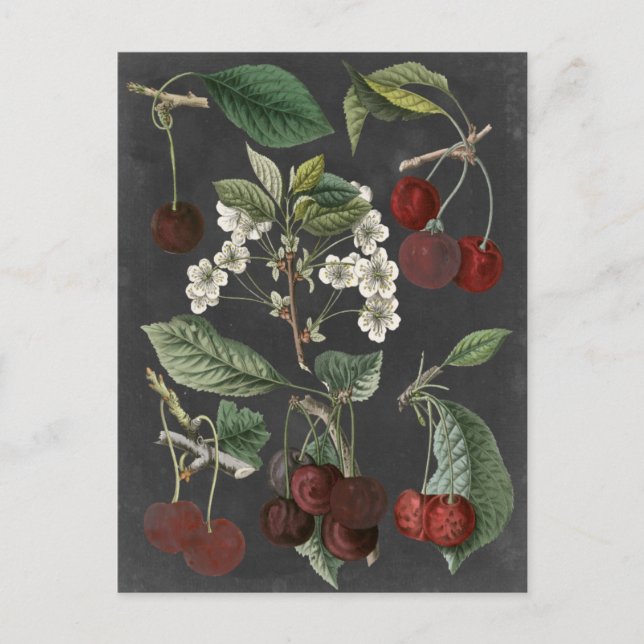 Orchard Varieties I Postcard (Front)