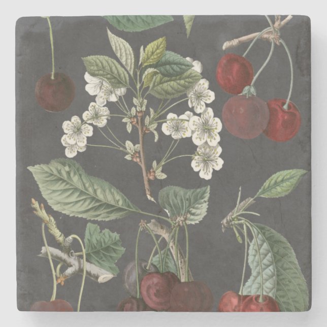 Orchard Varieties I Stone Coaster (Front)
