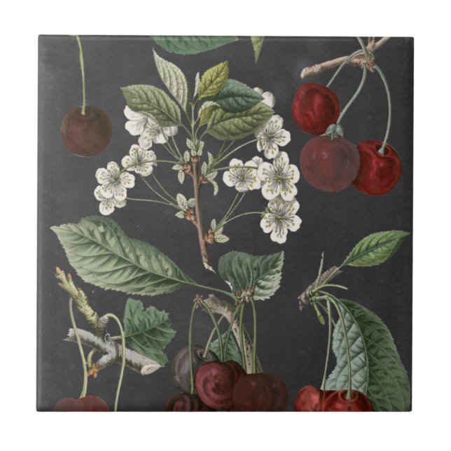 Orchard Varieties I Tile (Front)
