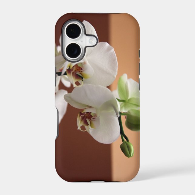 Orchid (Back)