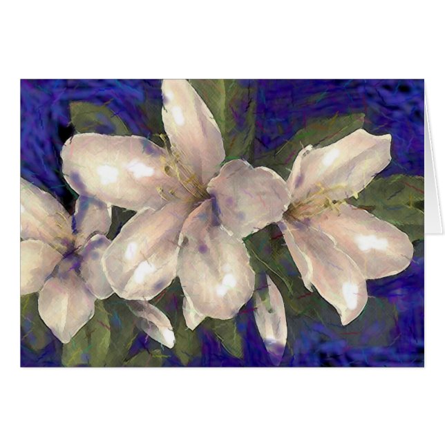 Orchid (Front Horizontal)