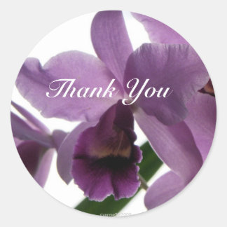 Orchid 1 Thank-You/ Stickers