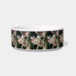Orchid_2015_0505 Bowl
