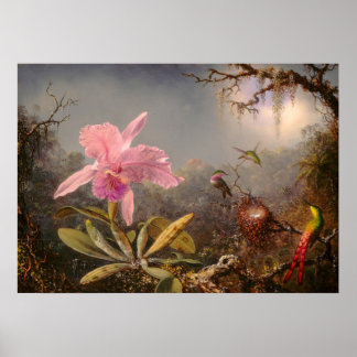 ORCHID AND THREE HUMMINGBIRDS POSTER