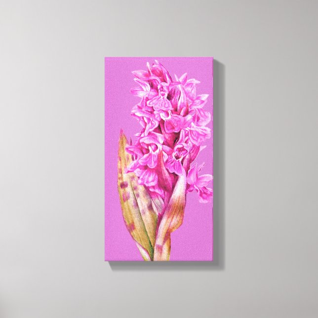 Orchid art flower purple pink canvas print (Front)