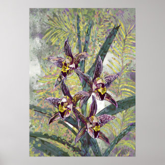 Orchid Art V56 Poster