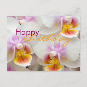 Orchid • Birthday Postcard