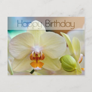 Orchid • Birthday Postcard