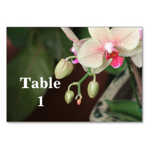 Orchid Blooms Table Number