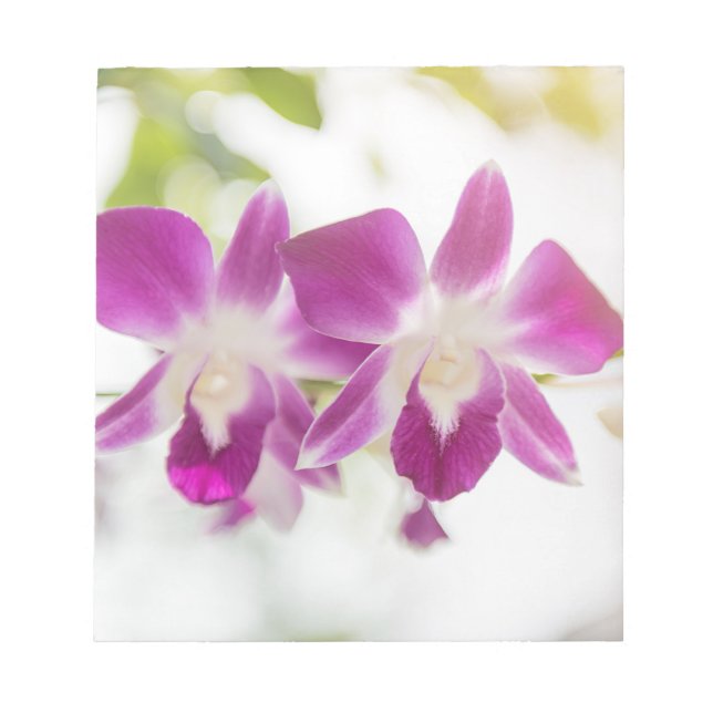 Orchid Blossom Notepad (Front)