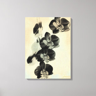 Orchid Blush Panels III Canvas Print
