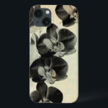 Orchid Blush Panels III iPhone 13 Case<br><div class="desc">Floral</div>