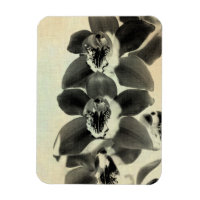 Orchid Blush Panels IV