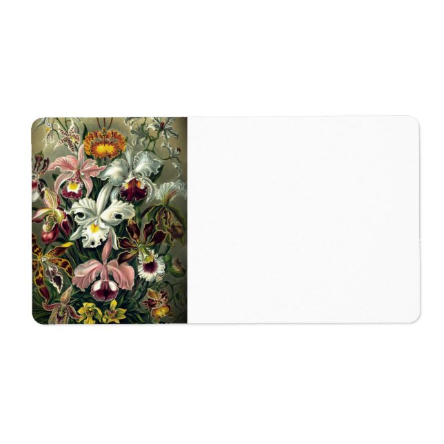 Orchid Botanical Print (Front)