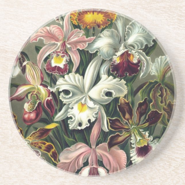 Orchid Botanical Print Coaster (Front)
