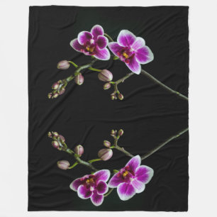 Orchid branch pink white colour on black pale fleece blanket