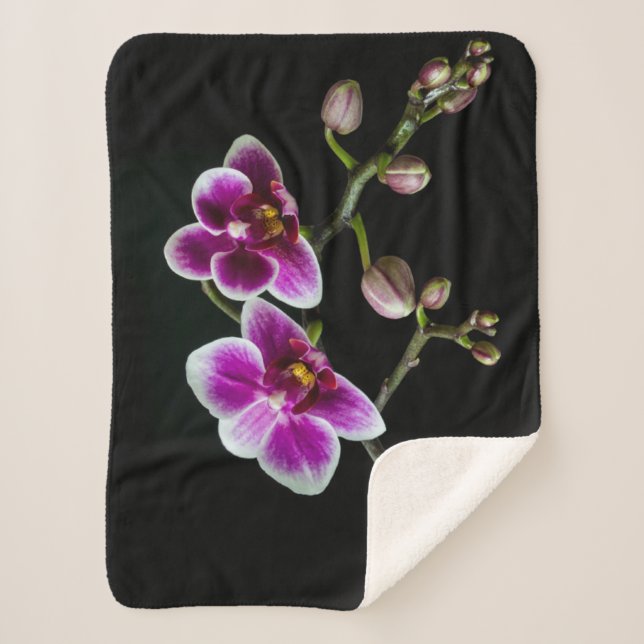 Orchid branch pink white colour on black pale sherpa blanket (Front)