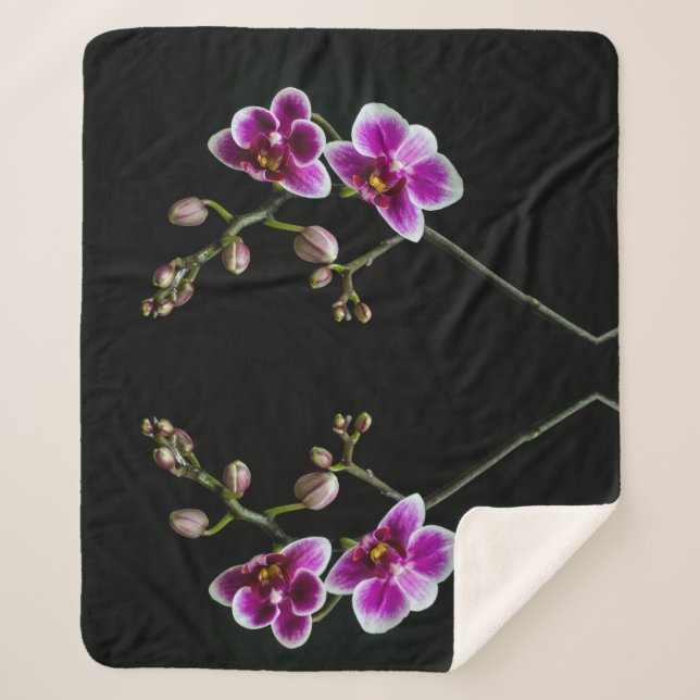 Orchid branch pink white colour on black pale sherpa blanket (Front)