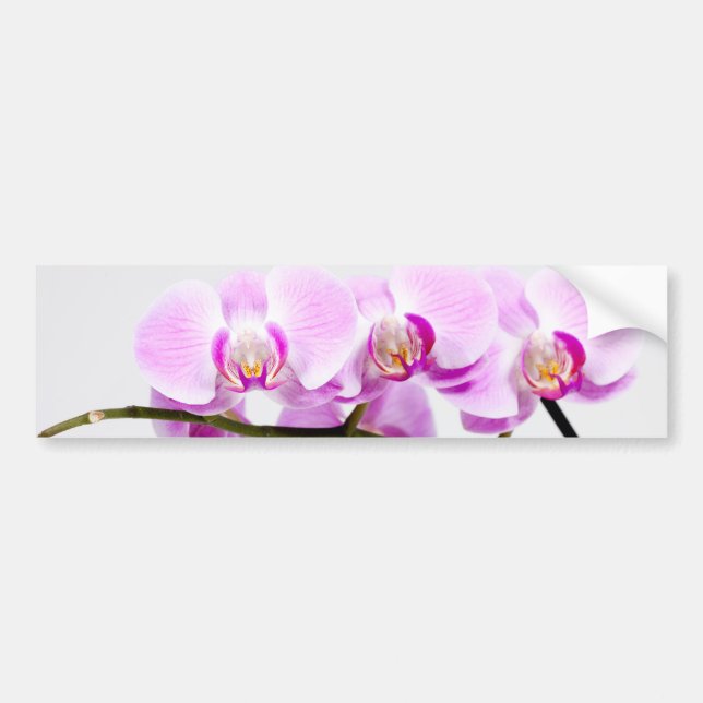 orchid bumper sticker (Front)
