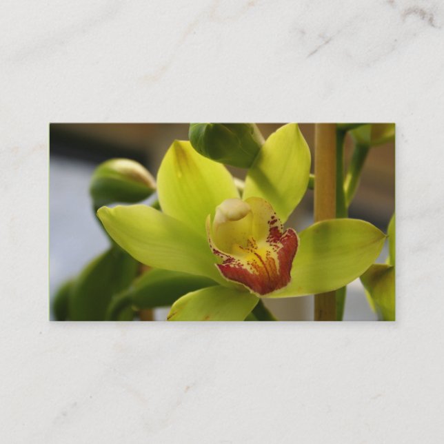 Orchid Business cards (Front)