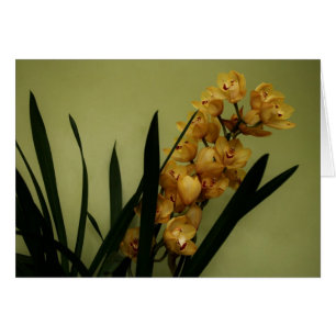"orchid" by Larry Coressel