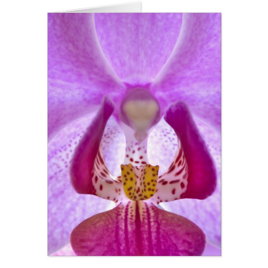 Orchid Card