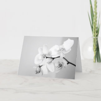 Orchid Card