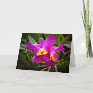 Orchid, card