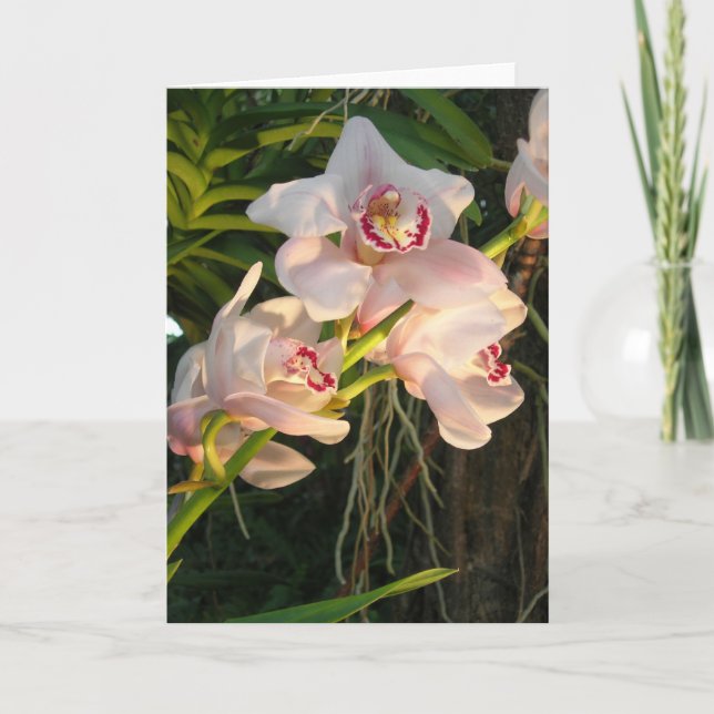 Orchid Card (Front)