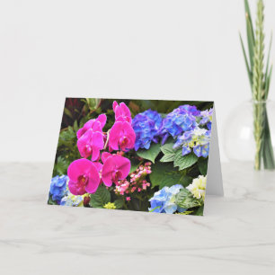Orchid, card