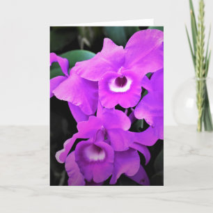 Orchid, card