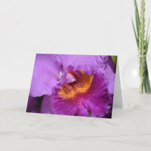 Orchid, card