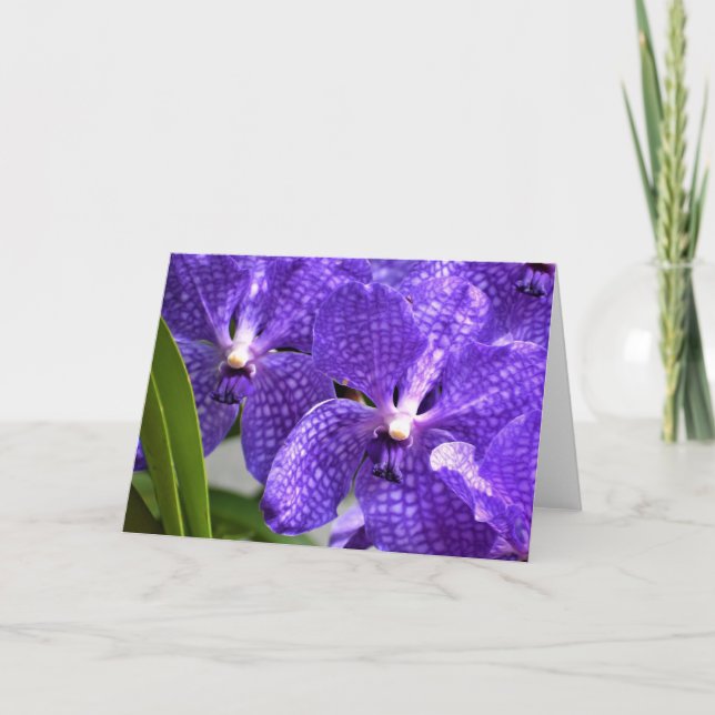 Orchid, card (Front)