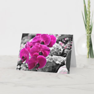 Orchid, card