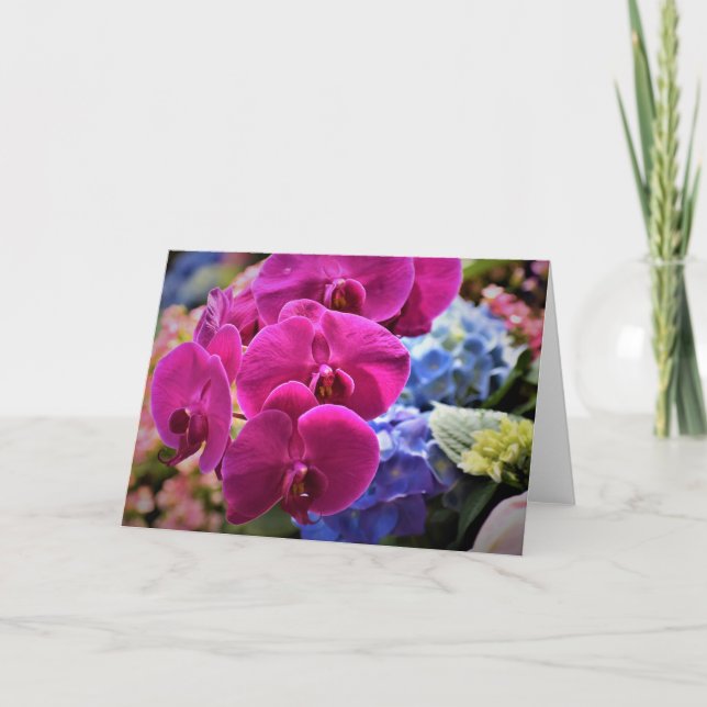 Orchid, card (Front)