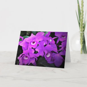 Orchid, card