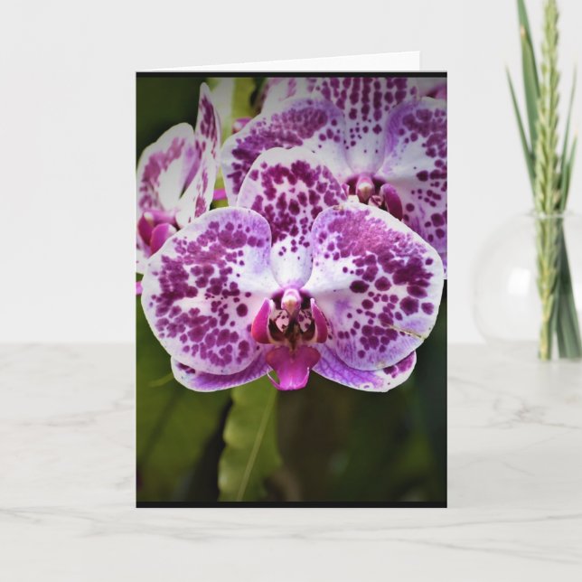 Orchid, card (Front)