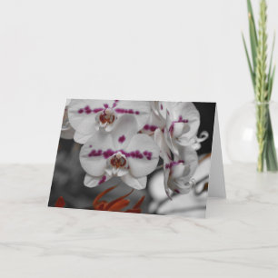 Orchid, card