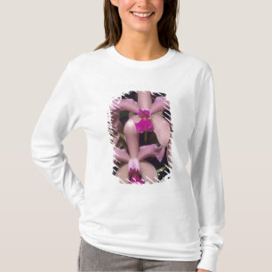 Orchid, (Cattleya amethystoglossa), Eastern T-Shirt