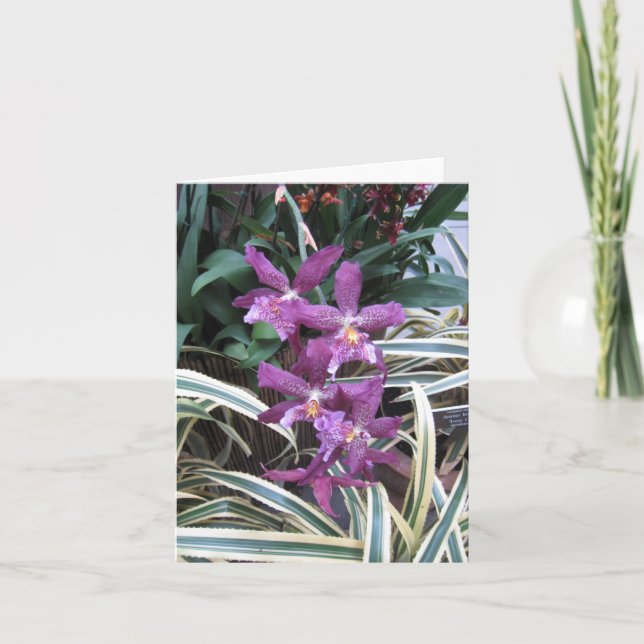Orchid Cluster Note Card (Front)